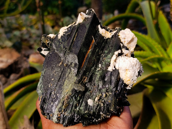 Natural Single Aegirine Crystal Specimen x 1 From Zomba, Malawi