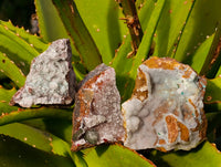 Natural Drusy Salrose With Chrysocolla And Malachite Specimens x 12 From Kakanda, Congo - Toprock Gemstones and Minerals 