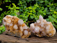 Natural Spirit Quartz Clusters x 3 From Boekenhouthoek, South Africa - Toprock Gemstones and Minerals 