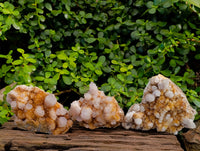 Natural Spirit Quartz Clusters x 3 From Boekenhouthoek, South Africa - Toprock Gemstones and Minerals 