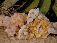 Natural Spirit Quartz Clusters x 3 From Boekenhouthoek, South Africa - Toprock Gemstones and Minerals 