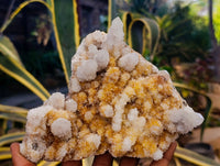 Natural Spirit Quartz Clusters x 3 From Boekenhouthoek, South Africa - Toprock Gemstones and Minerals 