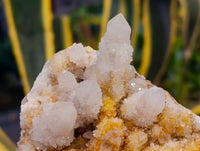 Natural Spirit Quartz Clusters x 3 From Boekenhouthoek, South Africa - Toprock Gemstones and Minerals 