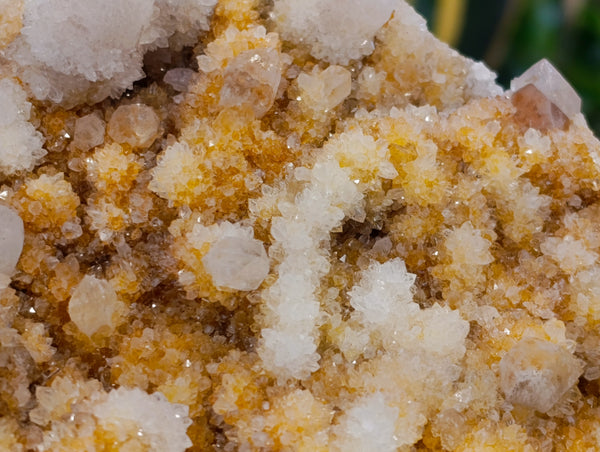 Natural Spirit Quartz Clusters x 3 From Boekenhouthoek, South Africa - Toprock Gemstones and Minerals 