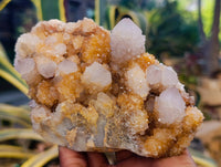 Natural Spirit Quartz Clusters x 3 From Boekenhouthoek, South Africa - Toprock Gemstones and Minerals 
