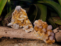 Natural Spirit Quartz Clusters x 3 From Boekenhouthoek, South Africa - Toprock Gemstones and Minerals 