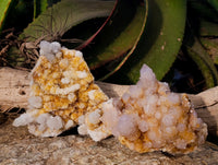 Natural Spirit Quartz Clusters x 3 From Boekenhouthoek, South Africa - Toprock Gemstones and Minerals 