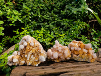 Natural Spirit Quartz Clusters x 3 From Boekenhouthoek, South Africa - Toprock Gemstones and Minerals 