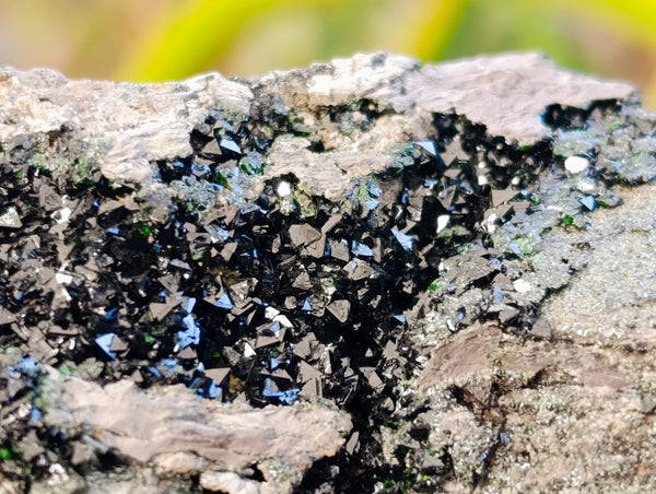 Natural Libethenite Crystals On Dolomite Matrix Specimens x 6 From Shituru, Congo