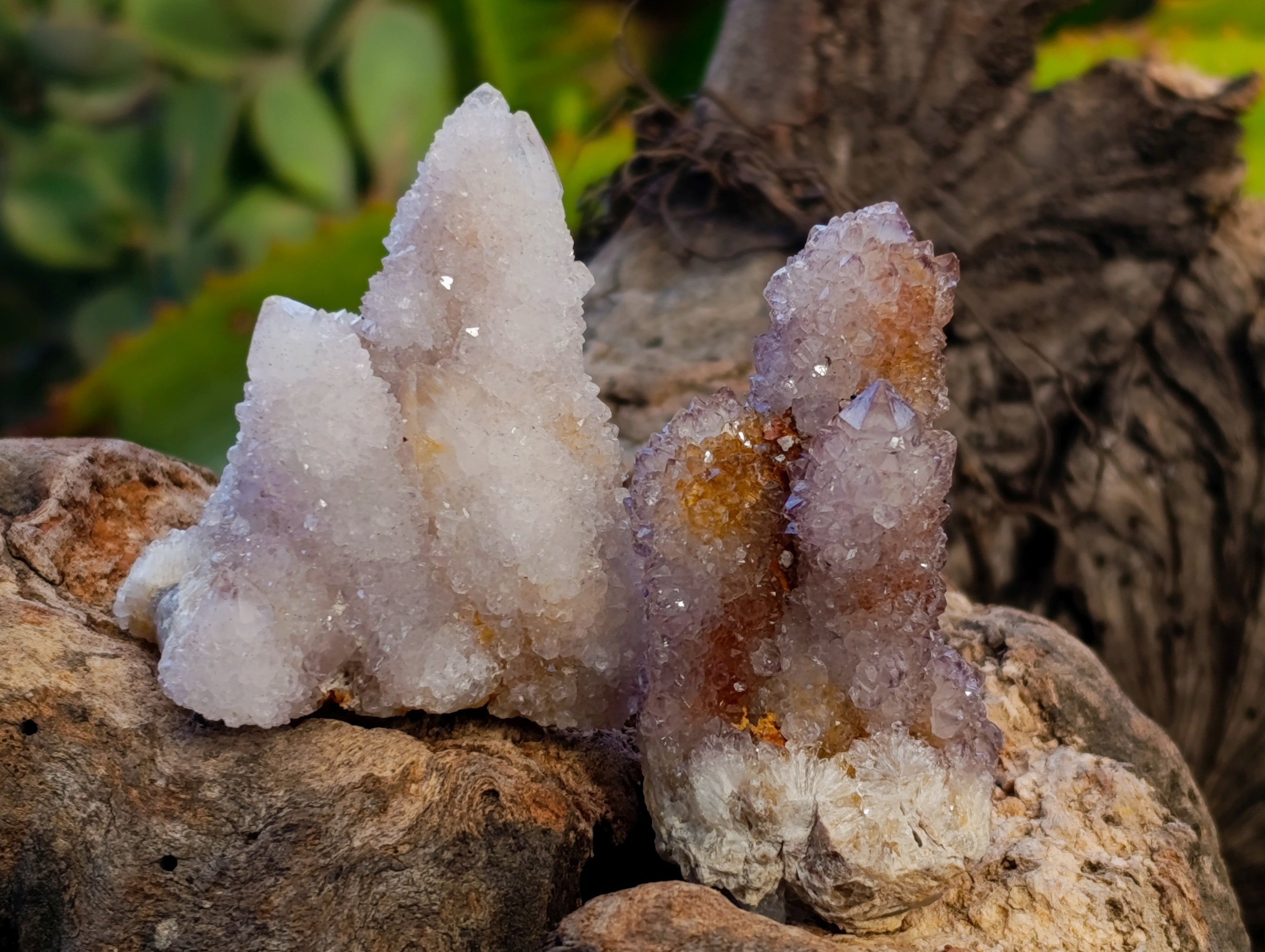 Natural Spirit Quartz Crystals x 35 From Boekenhouthoek, South Africa - Toprock Gemstones and Minerals 