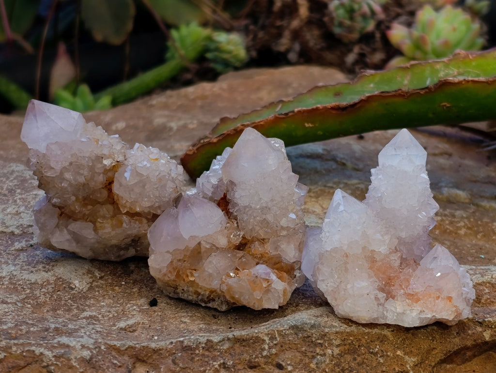 Natural Spirit Quartz Crystals x 35 From Boekenhouthoek, South Africa - Toprock Gemstones and Minerals 