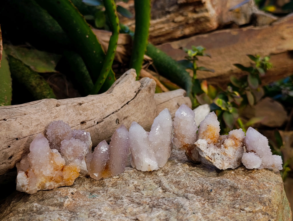 Natural Spirit Quartz Crystals x 35 From Boekenhouthoek, South Africa - Toprock Gemstones and Minerals 