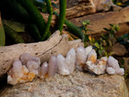 Natural Spirit Quartz Crystals x 35 From Boekenhouthoek, South Africa - Toprock Gemstones and Minerals 