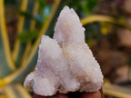 Natural Spirit Quartz Crystals x 35 From Boekenhouthoek, South Africa - Toprock Gemstones and Minerals 