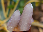 Natural Spirit Quartz Crystals x 35 From Boekenhouthoek, South Africa - Toprock Gemstones and Minerals 