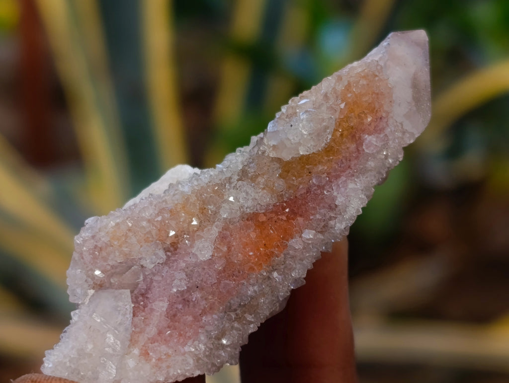 Natural Spirit Quartz Crystals x 35 From Boekenhouthoek, South Africa - Toprock Gemstones and Minerals 