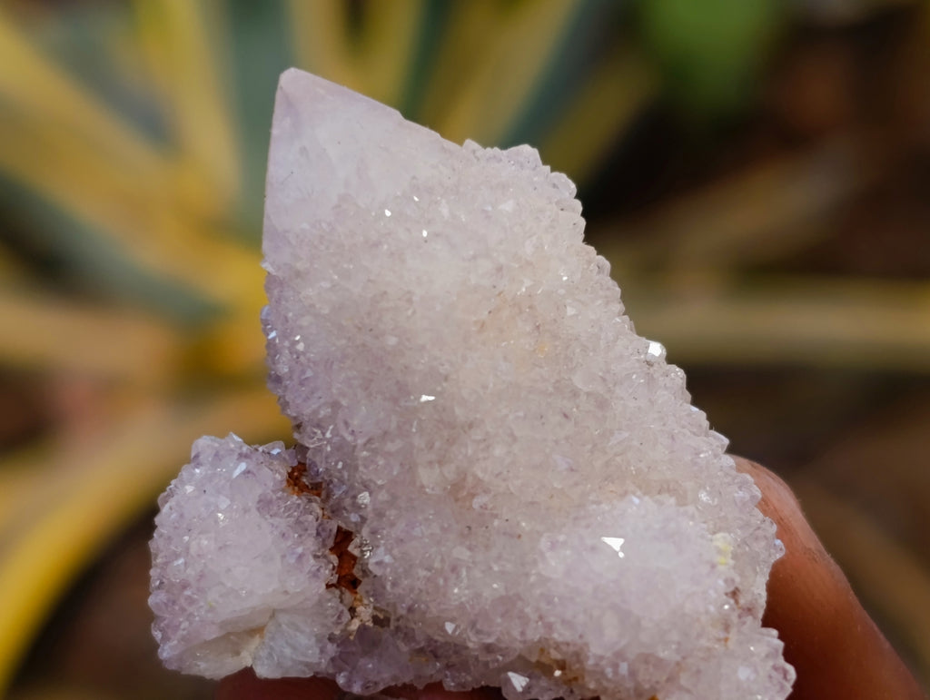 Natural Spirit Quartz Crystals x 35 From Boekenhouthoek, South Africa - Toprock Gemstones and Minerals 