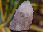 Natural Spirit Quartz Crystals x 35 From Boekenhouthoek, South Africa - Toprock Gemstones and Minerals 