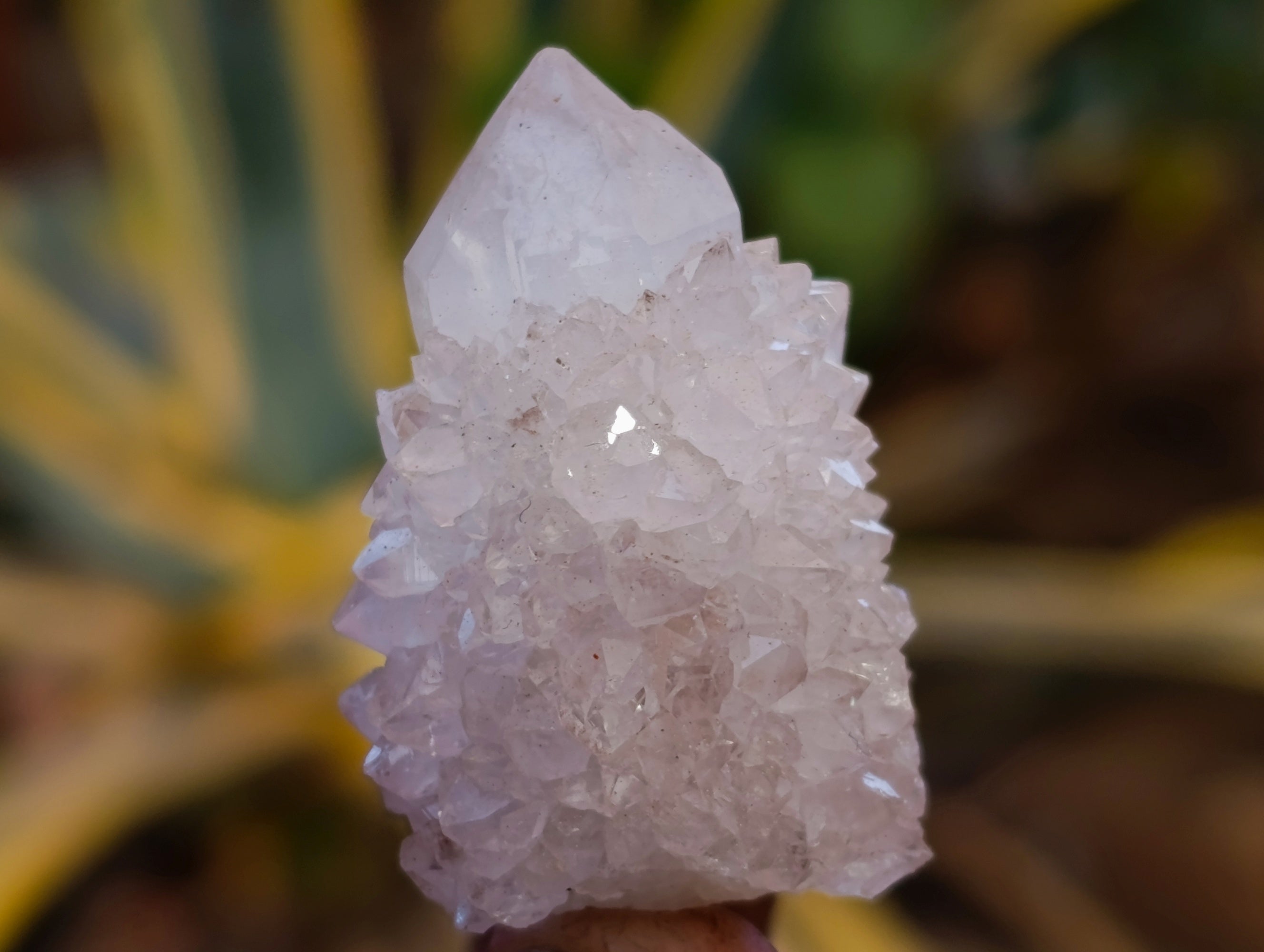 Natural Spirit Quartz Crystals x 35 From Boekenhouthoek, South Africa - Toprock Gemstones and Minerals 