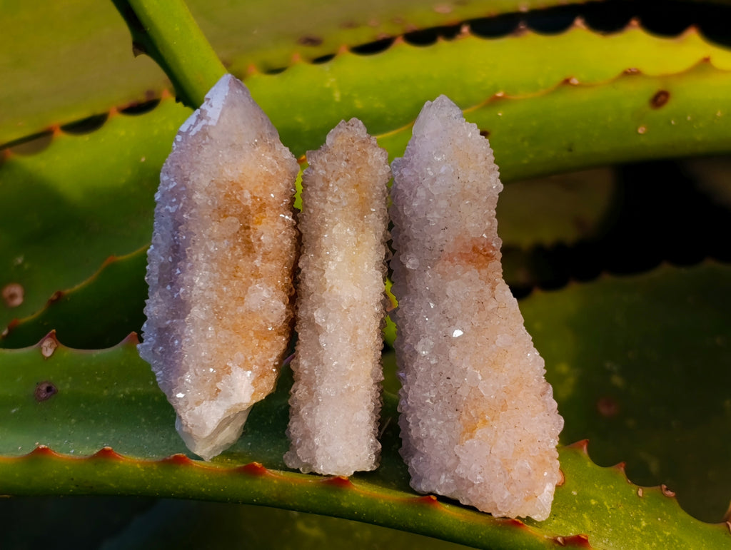 Natural Spirit Quartz Crystals x 35 From Boekenhouthoek, South Africa - Toprock Gemstones and Minerals 