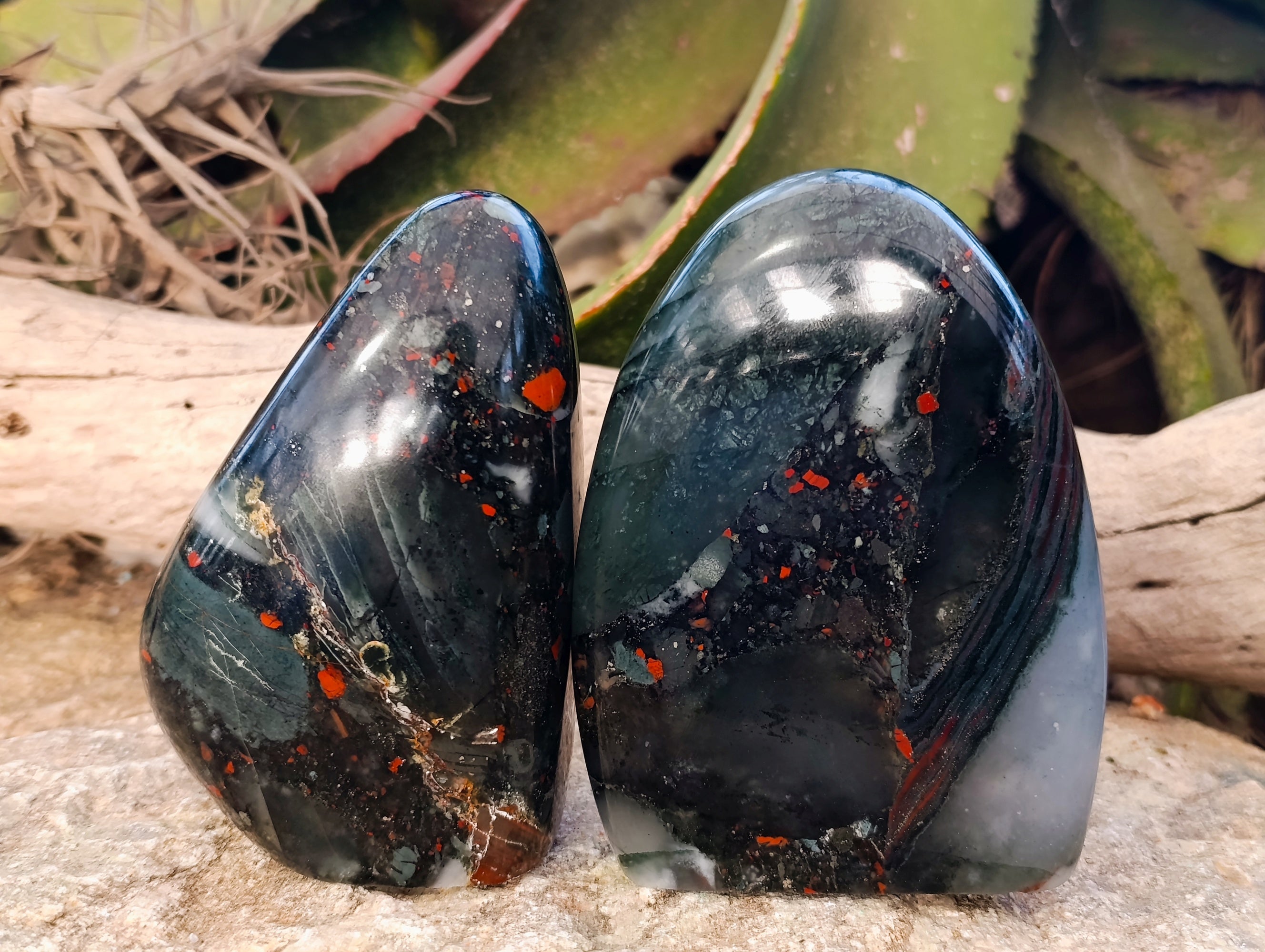 Polished Bloodstone Standing Free Forms x 2 From Swaziland - Toprock Gemstones and Minerals 