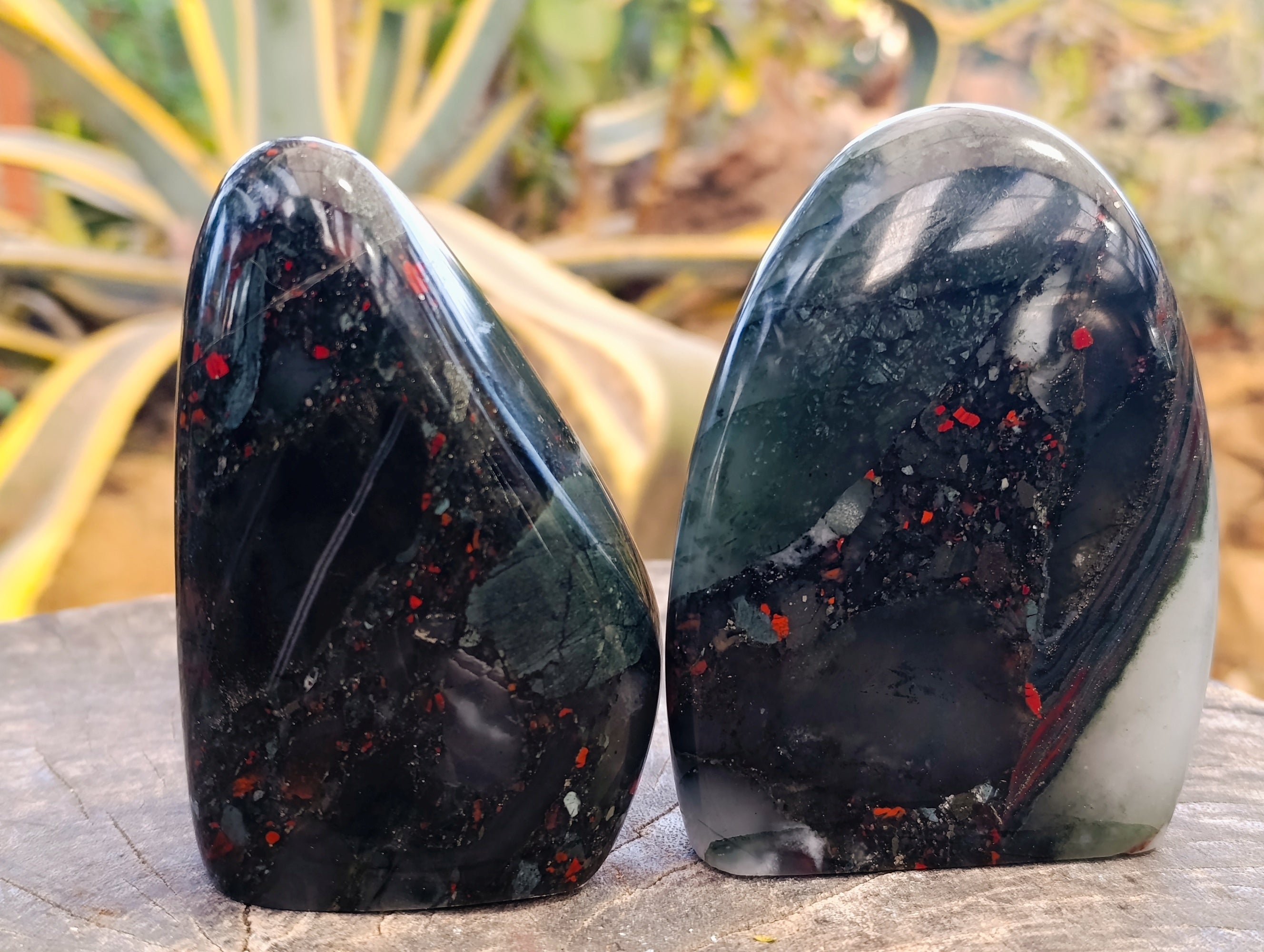 Polished Bloodstone Standing Free Forms x 2 From Swaziland - Toprock Gemstones and Minerals 