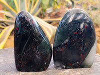 Polished Bloodstone Standing Free Forms x 2 From Swaziland