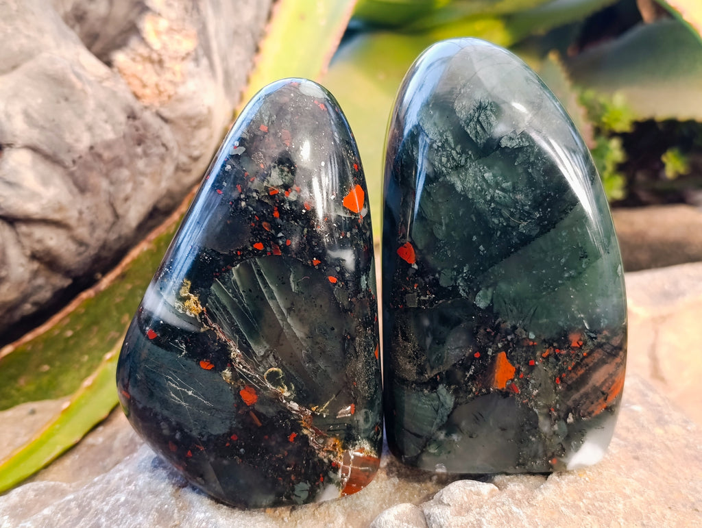 Polished Bloodstone Standing Free Forms x 2 From Swaziland - Toprock Gemstones and Minerals 