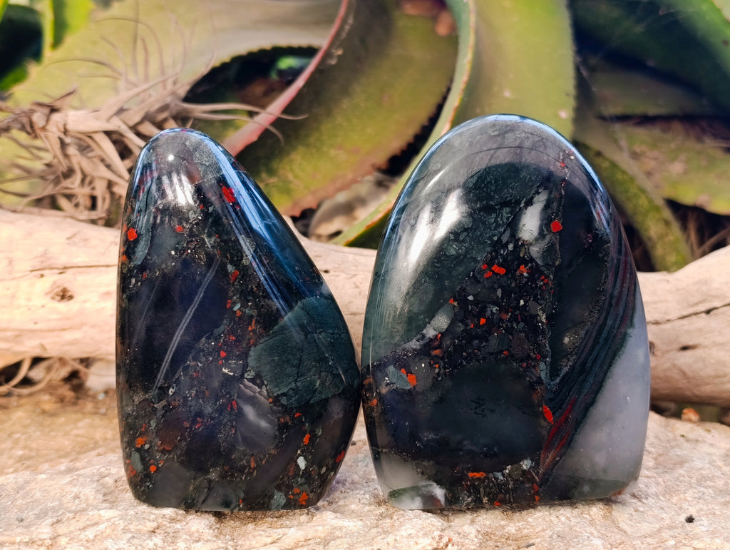 Polished Bloodstone Standing Free Forms x 2 From Swaziland - Toprock Gemstones and Minerals 