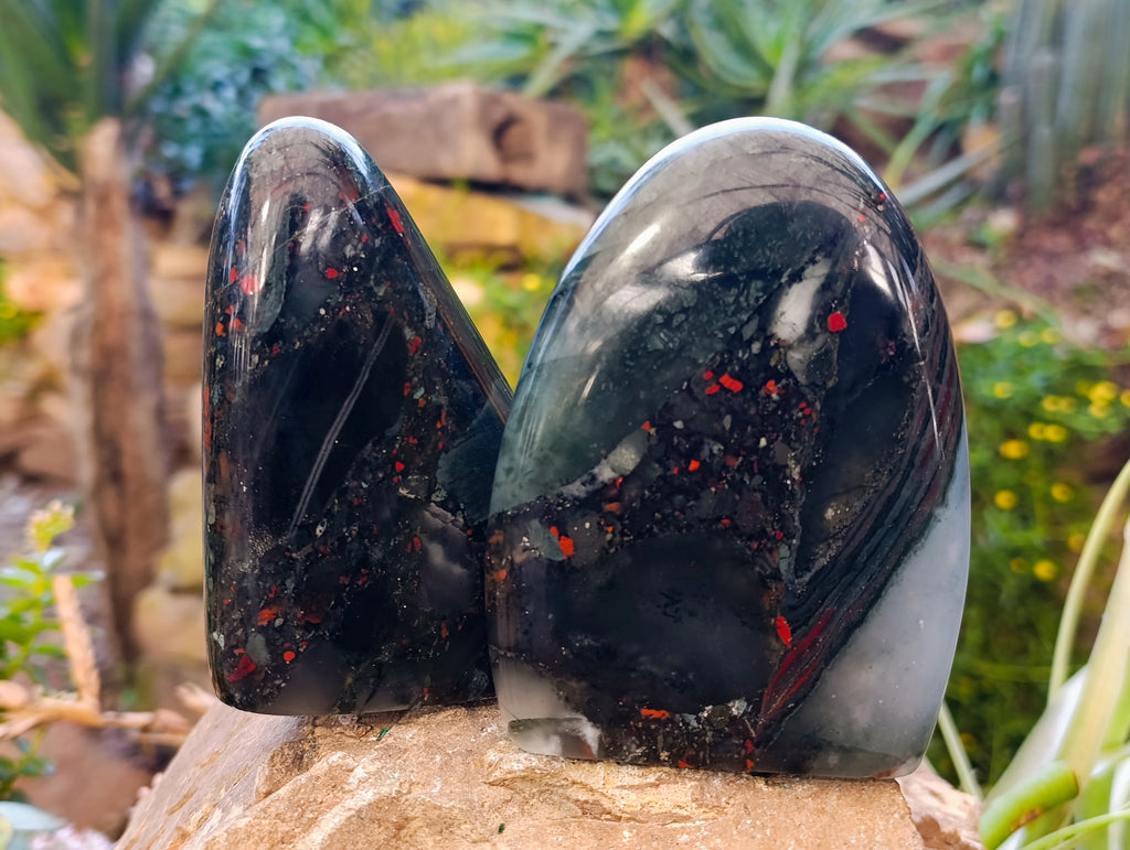 Polished Bloodstone Standing Free Forms x 2 From Swaziland - Toprock Gemstones and Minerals 