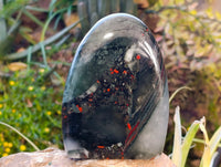 Polished Bloodstone Standing Free Forms x 2 From Swaziland