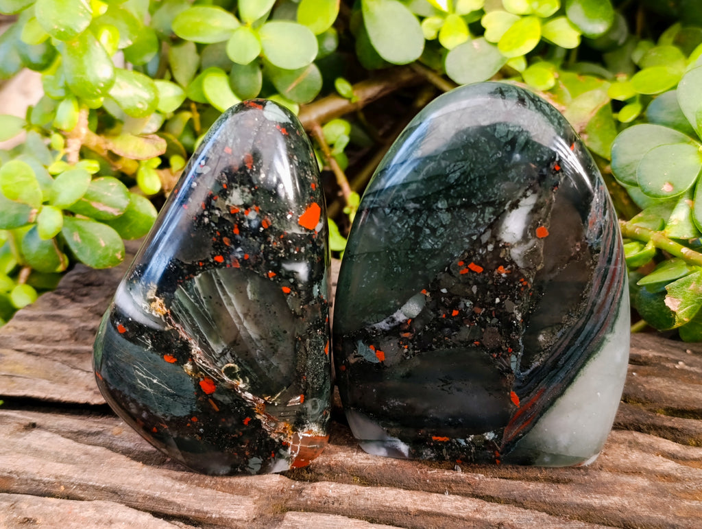 Polished Bloodstone Standing Free Forms x 2 From Swaziland - Toprock Gemstones and Minerals 