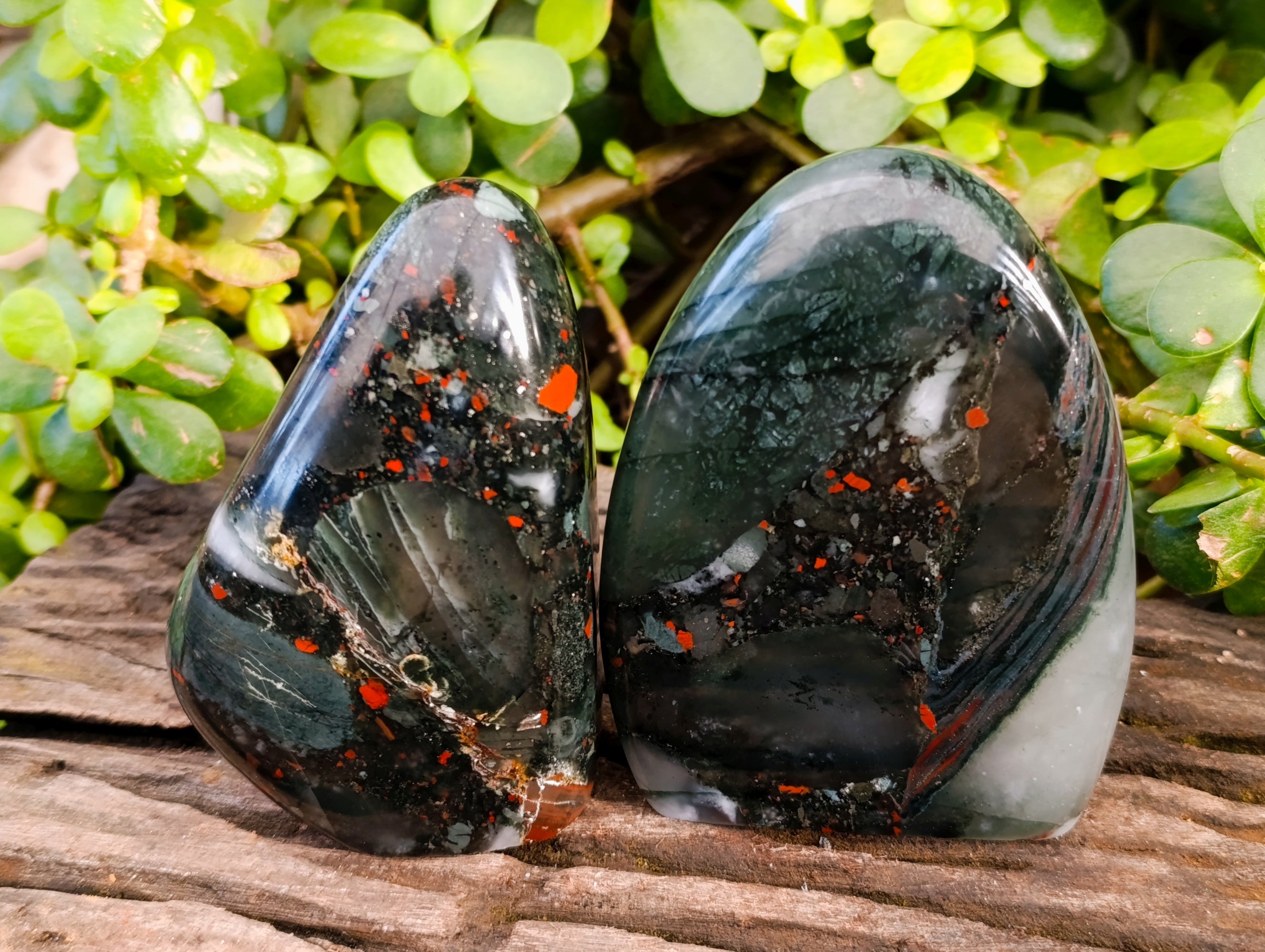 Polished Bloodstone Standing Free Forms x 2 From Swaziland - Toprock Gemstones and Minerals 