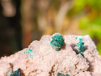 Natural Drusy Salrose With Crystalline  Malachite and Kolwezite Specimens x 2 From Kakanda, Congo