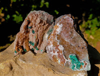 Natural Drusy Salrose With Crystalline  Malachite and Kolwezite Specimens x 2 From Kakanda, Congo