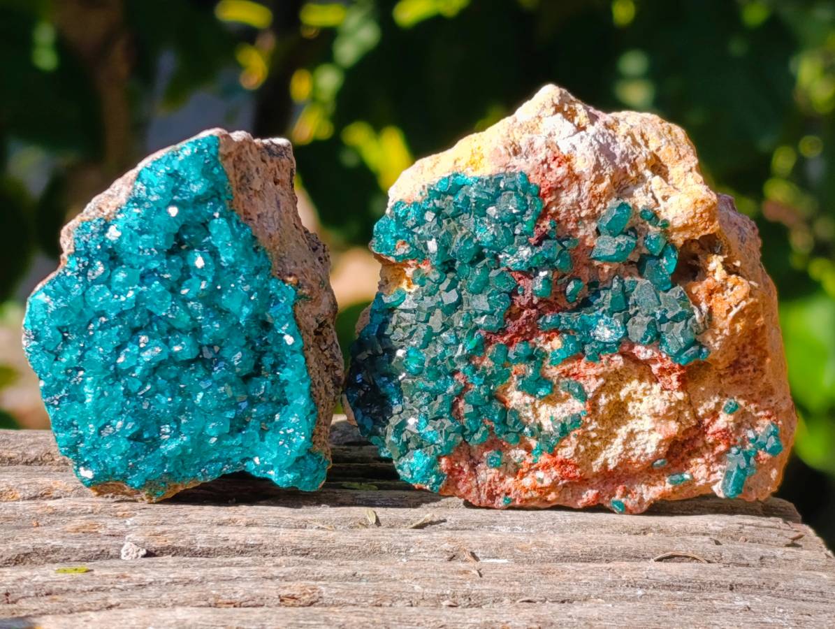 Natural Dioptase on Dolomite Matrix Specimens x 6 From Likasi, Congo - Toprock Gemstones and Minerals 