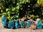 Natural Dioptase on Dolomite Matrix Specimens x 6 From Likasi, Congo - Toprock Gemstones and Minerals 