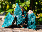 Natural Dioptase on Dolomite Matrix Specimens x 6 From Likasi, Congo - Toprock Gemstones and Minerals 