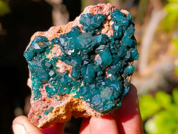 Natural Dioptase on Dolomite Matrix Specimens x 6 From Likasi, Congo
