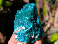 Natural Dioptase on Dolomite Matrix Specimens x 6 From Likasi, Congo - Toprock Gemstones and Minerals 