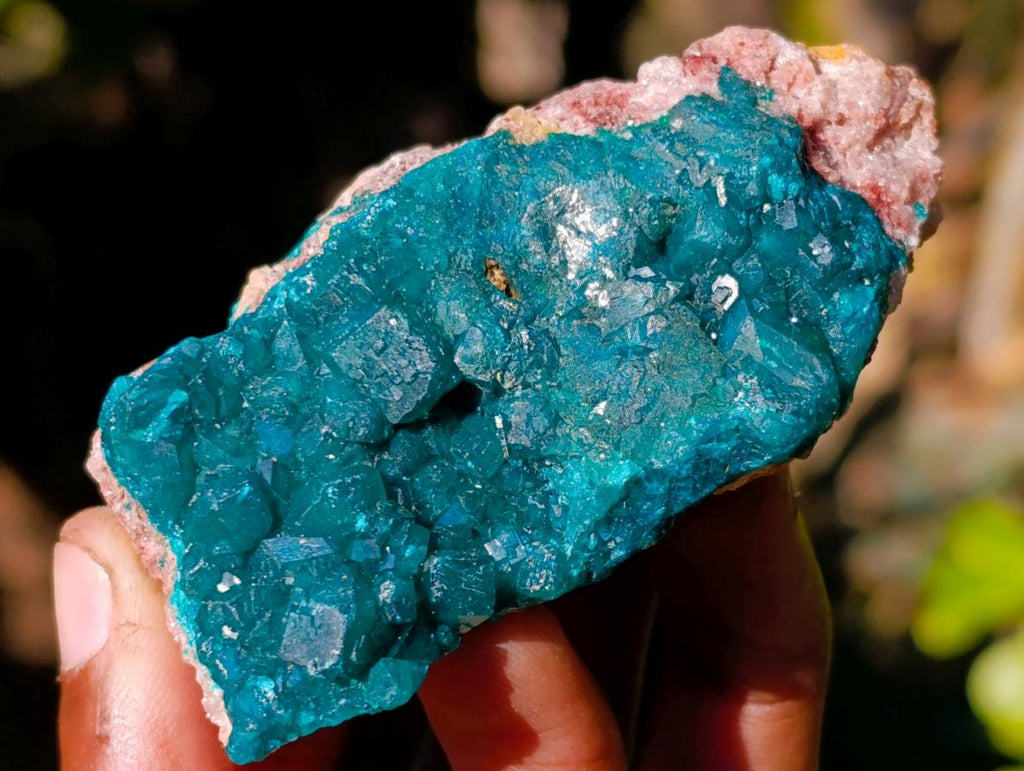 Natural Dioptase on Dolomite Matrix Specimens x 6 From Likasi, Congo - Toprock Gemstones and Minerals 