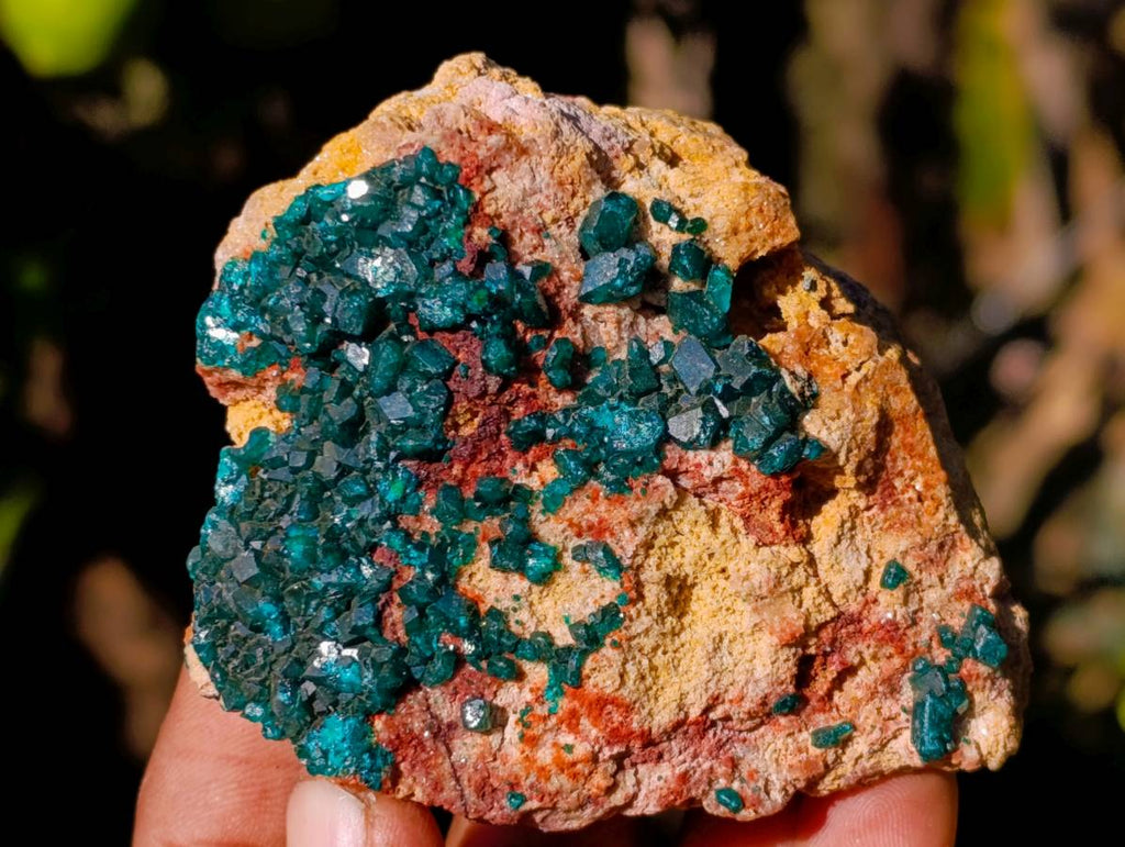 Natural Dioptase on Dolomite Matrix Specimens x 6 From Likasi, Congo - Toprock Gemstones and Minerals 