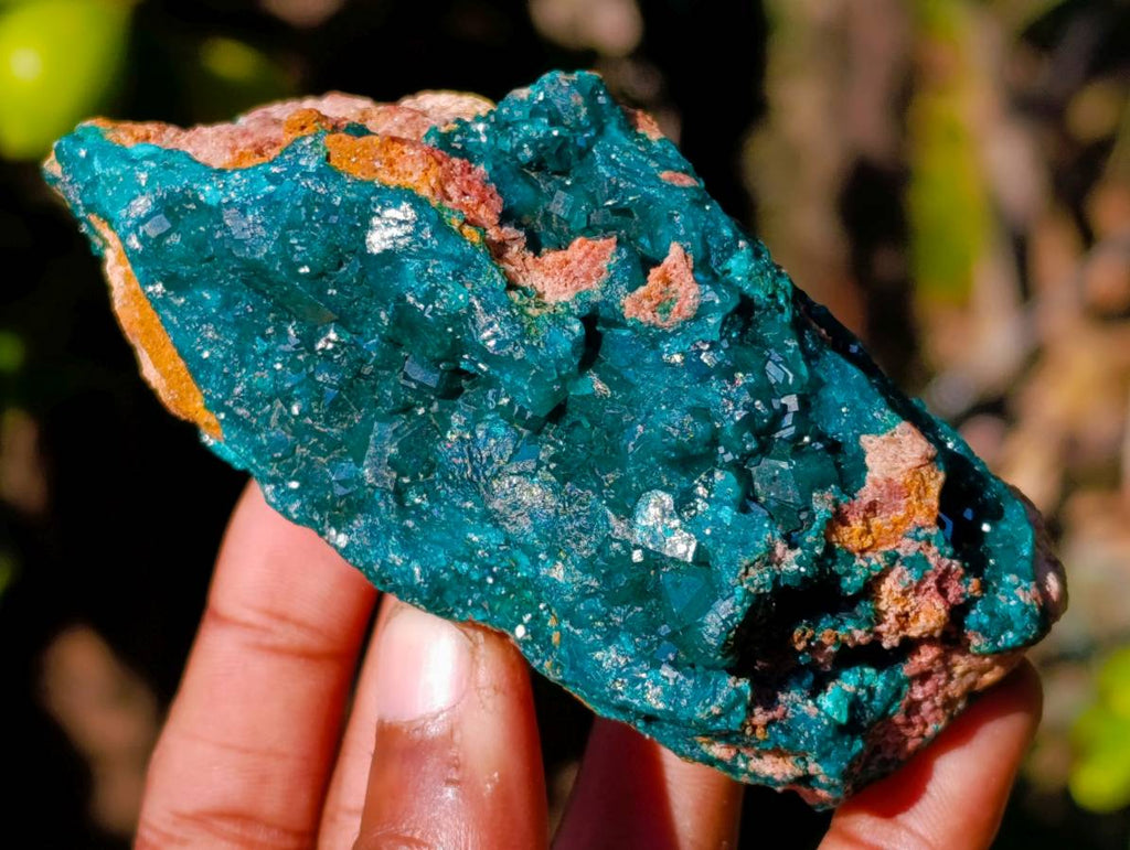 Natural Dioptase on Dolomite Matrix Specimens x 6 From Likasi, Congo - Toprock Gemstones and Minerals 