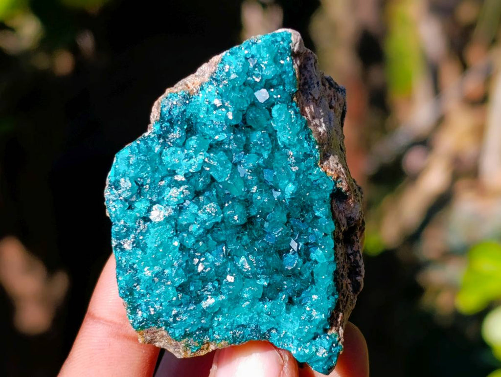 Natural Dioptase on Dolomite Matrix Specimens x 6 From Likasi, Congo - Toprock Gemstones and Minerals 