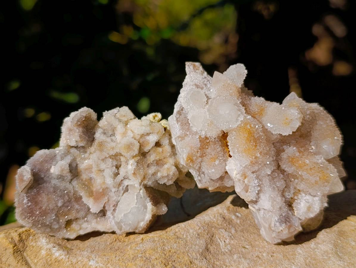 Natural Fairy and Amethyst Spirit Quartz Clusters x 24 From Boekenhouthoek, South Africa - Toprock Gemstones and Minerals 