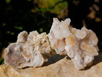 Natural Fairy and Amethyst Spirit Quartz Clusters x 24 From Boekenhouthoek, South Africa