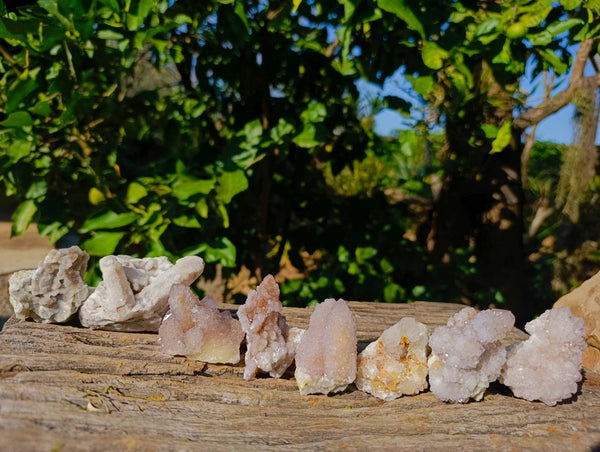 Natural Fairy and Amethyst Spirit Quartz Clusters x 24 From Boekenhouthoek, South Africa