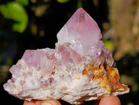 Natural Fairy and Amethyst Spirit Quartz Clusters x 24 From Boekenhouthoek, South Africa