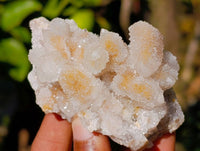 Natural Fairy and Amethyst Spirit Quartz Clusters x 24 From Boekenhouthoek, South Africa