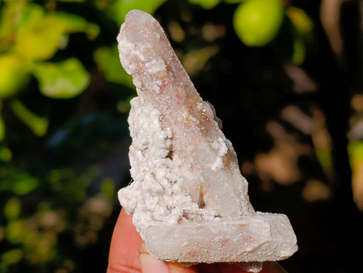 Natural Fairy and Amethyst Spirit Quartz Clusters x 24 From Boekenhouthoek, South Africa - Toprock Gemstones and Minerals 